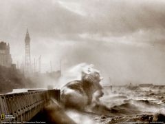 Tapeta National Geographic 533.jpg